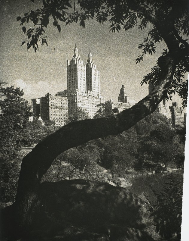 A Vista in Central Park, Drahomir Josef Ruzicka, 1937