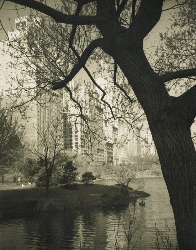 Central Park, Drahomir Josef Ruzicka, 20th century