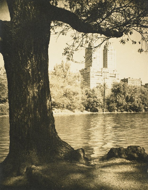 Central Park, Drahomir Josef Ruzicka, 20th century