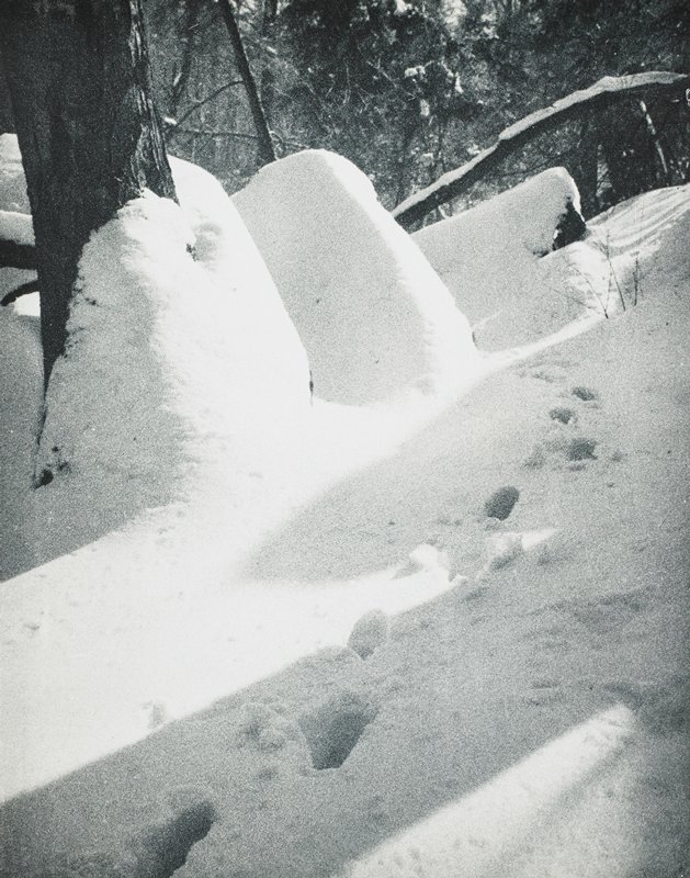 New York, Drahomir Josef Ruzicka, 1933