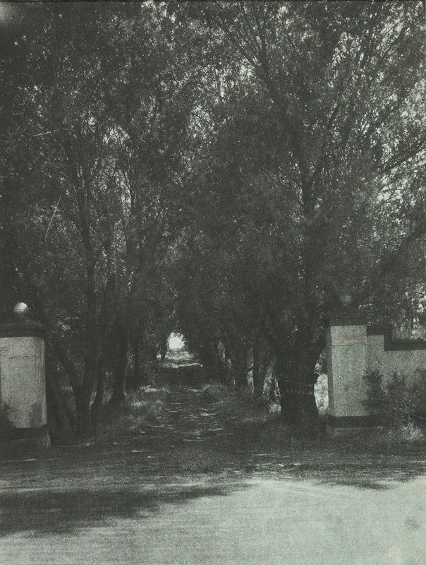 Untitled, Sigmund Leet, c. 1930s