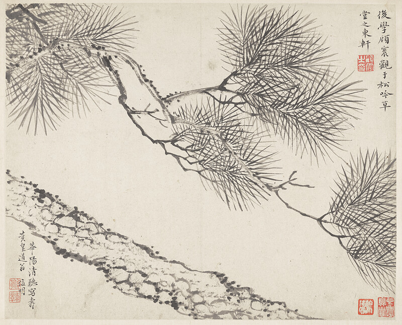 Leaves from the Album Three Friends of Winter, Jin Junming, 1669