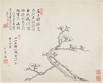 Leaf from album Three Friends of Winter, Jin Junming, 1669