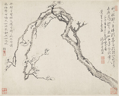 Leaf from album Three Friends of Winter, Jin Junming, 1669
