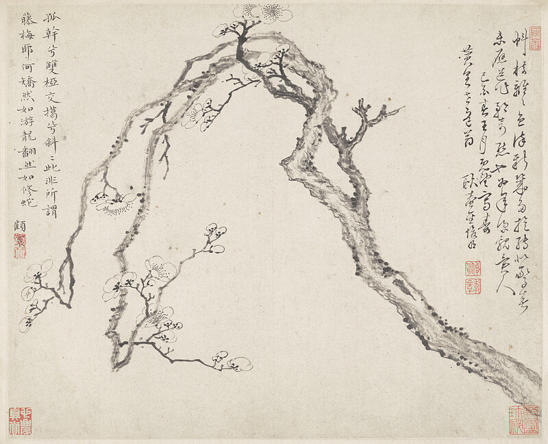 Leaf from album Three Friends of Winter, Jin Junming, 1669