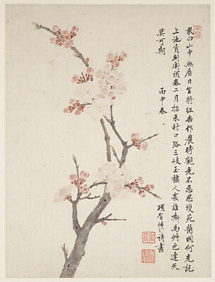 Leaf from album Three Friends of Winter, Jin Junming, 1669