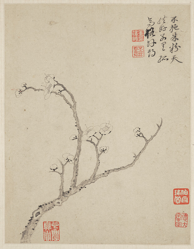 Leaf from album Three Friends of Winter, Jin Junming, 1669