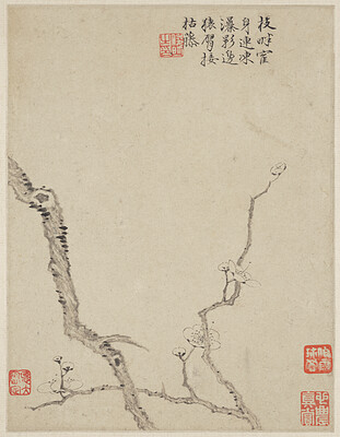 Leaf from album Three Friends of Winter, Jin Junming, 1669