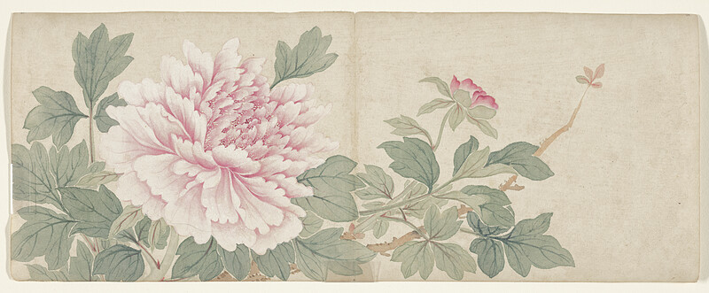 Flower Painting, Mianyi, late 18th century