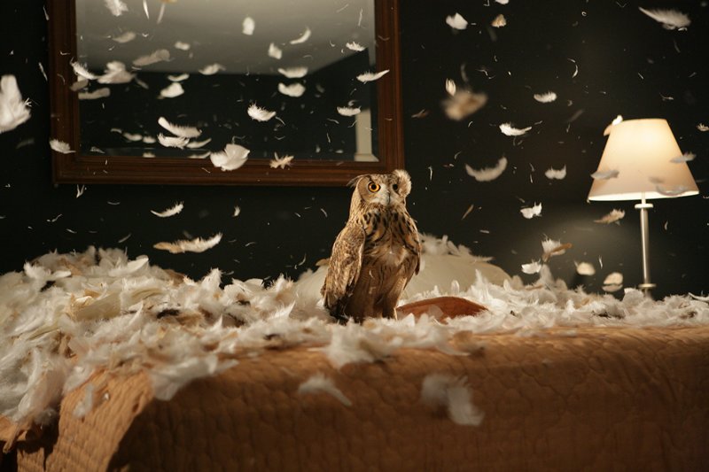 migration (empire) - linear version, Doug Aitken, 2008