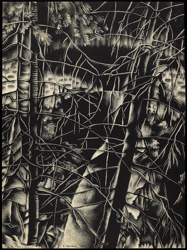 Sometime Chaos is All You Can See from Here, from Intimate Immensity, Faye Passow, 2007