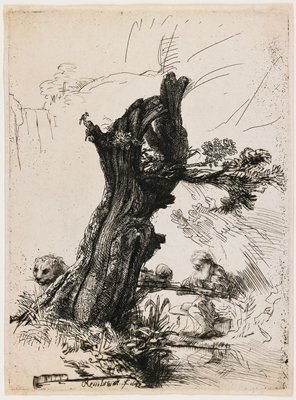 Dokumentasi “Saint Jerome by the Pollard Willow”; Etching and drypoint. Minneapolis Institute of Art.