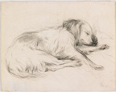 Dokumentasi “Sleeping Dog”; Graphite. Minneapolis Institute of Art.