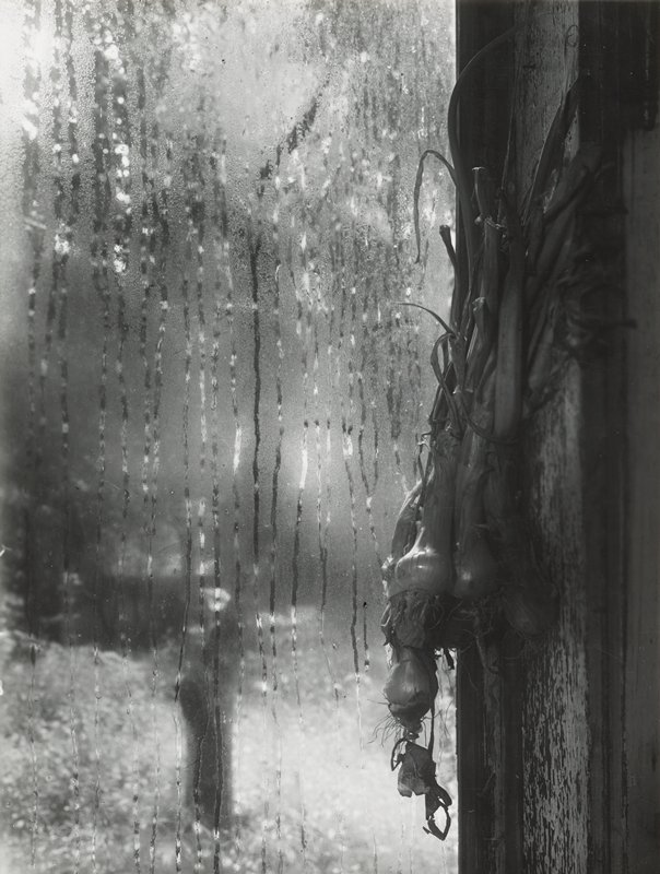 From My Studio Window, Josef Sudek, 1944–53