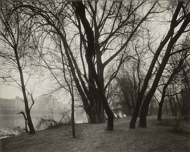 Trees and River Banks, Josef Sudek, 1953