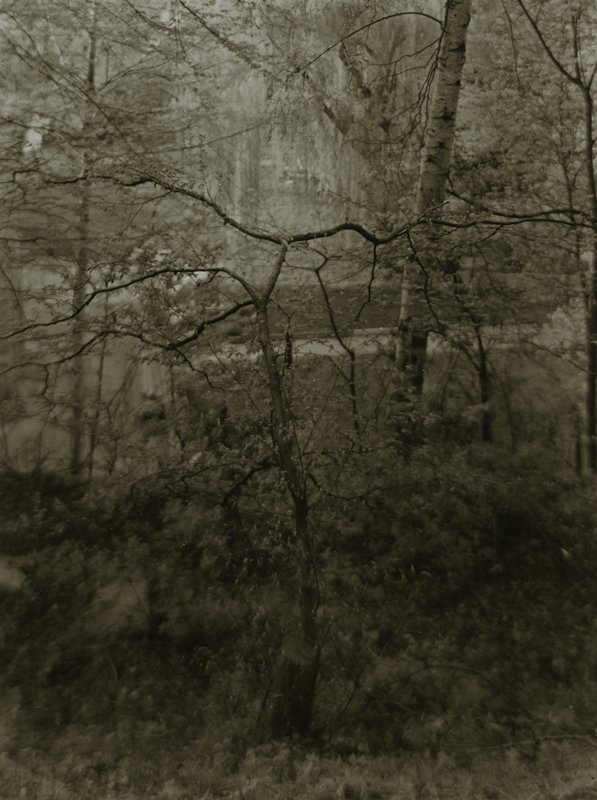 Landscape, Josef Sudek, 1968