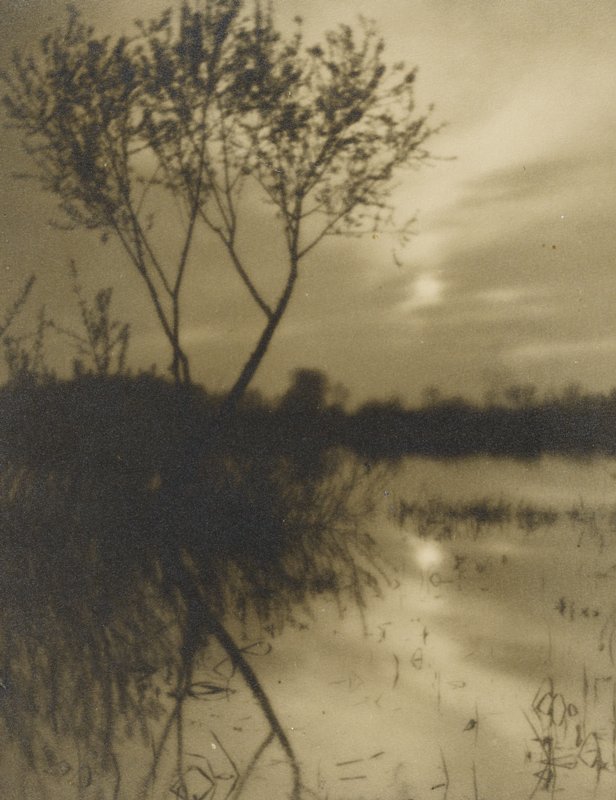 Untitled [trees, water and moon], Josef Sudek, 1922