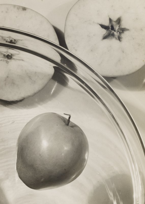 The Apple, Josef Sudek, 1933