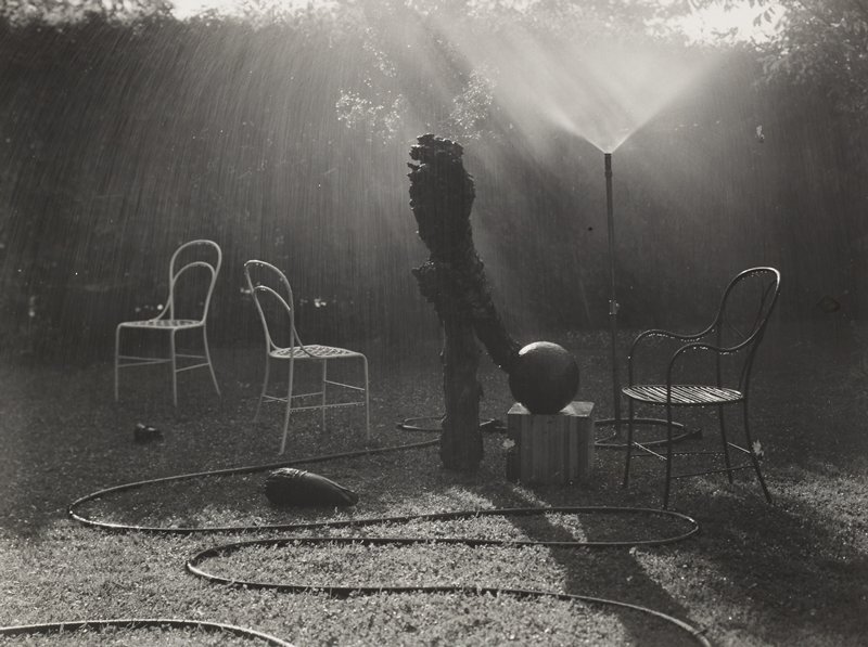 In the Magic Garden, Josef Sudek, mid 1950s
