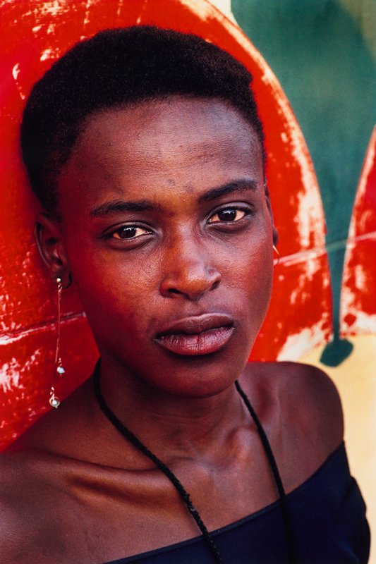 Untitled, Robert Bergman, c. 2005 (printed 2009)