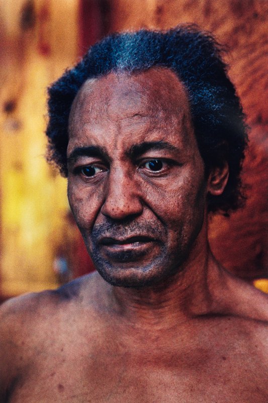 Untitled, Robert Bergman, c. 2005 (printed 2009)