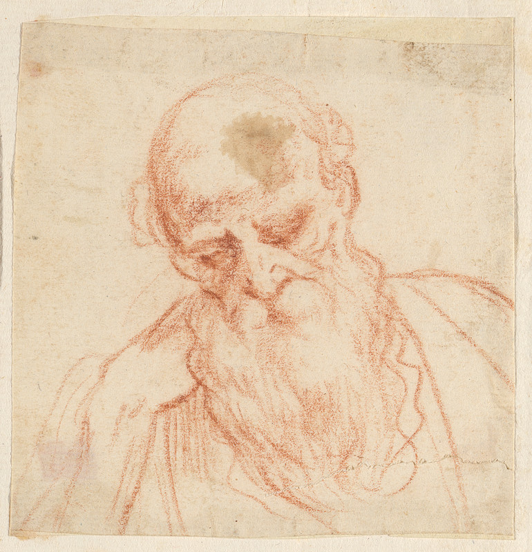 Head of a Bearded Man Looking Down, Cesare Rossetti, 16th-17th century