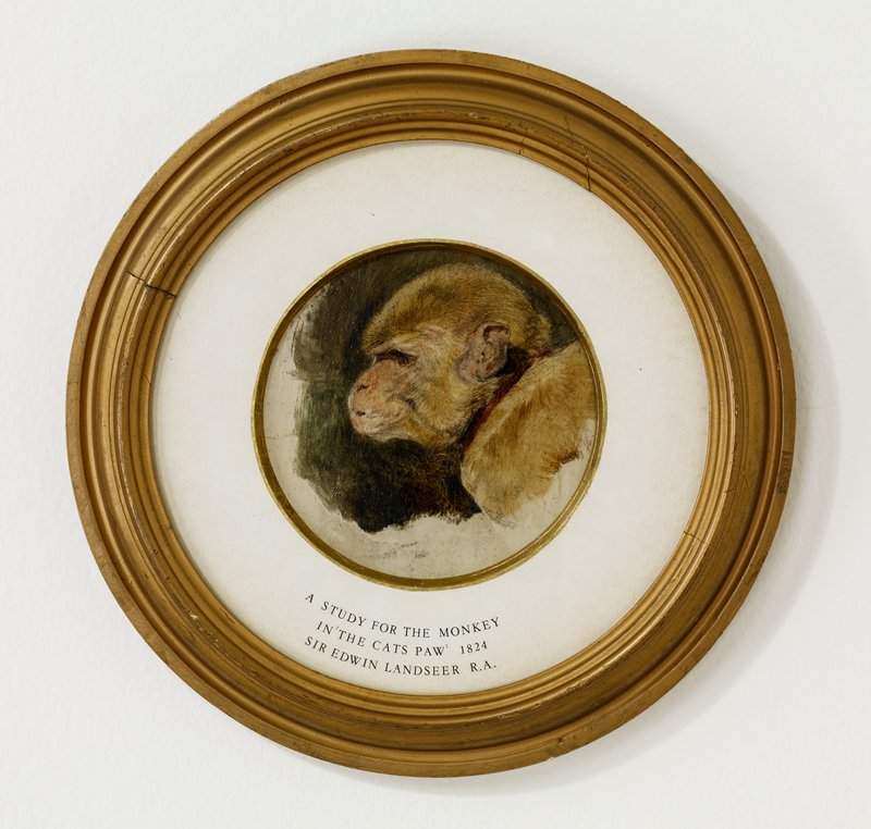 Study for the Monkey in The Cat's Paw, Sir Edwin Henry Landseer, 1824