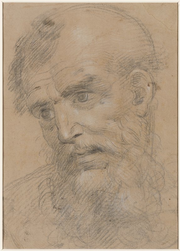 Head of a Bearded Saint (recto); Study for an Altarpiece with Madonna and Saints (verso), Giovanni Antonio Sogliani, c. 1520–22