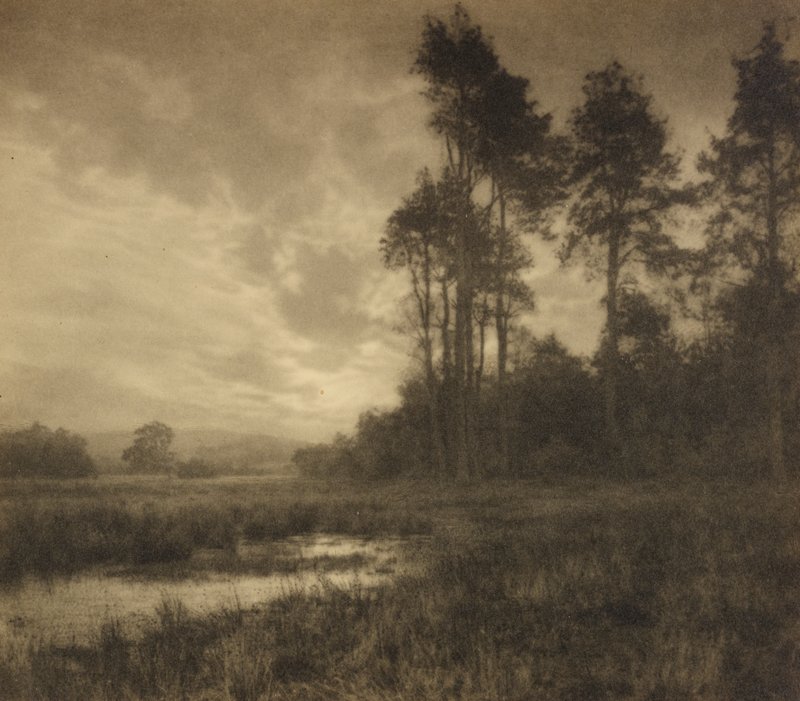 A Mid Summer Night, John M. Whitehead, c. 1923