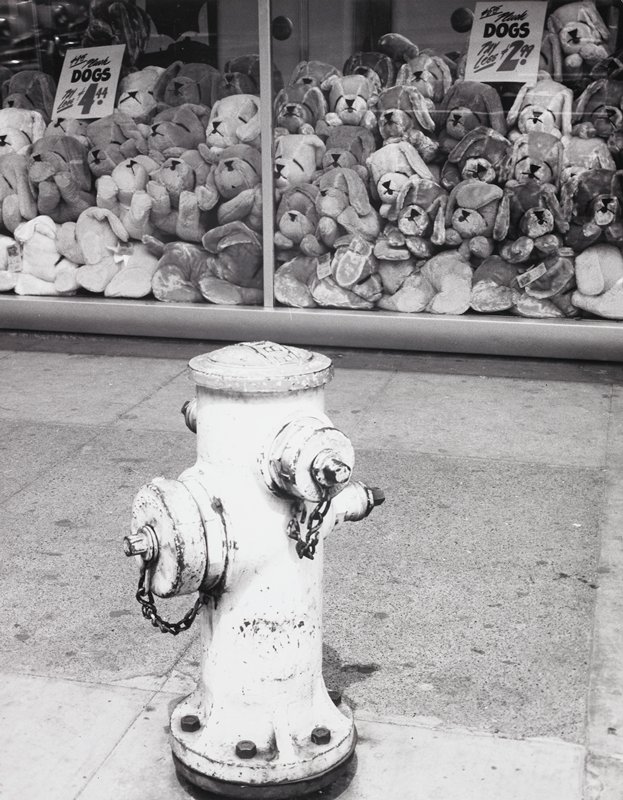 Hydrant and Doggies in the Window, Bob Hollingsworth, c. 1950