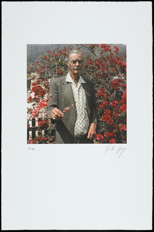 Untitled (man in garden), Pieter Hugo, 2010