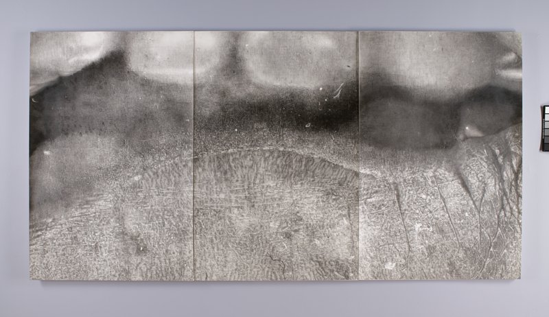 cropc2aCrop7detMouth89, Cynthia Lin, 2008