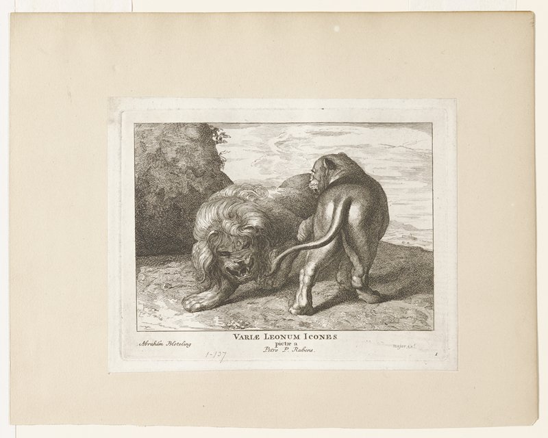 Variæ Leonum Idones, Abraham Blooteling, 17th century