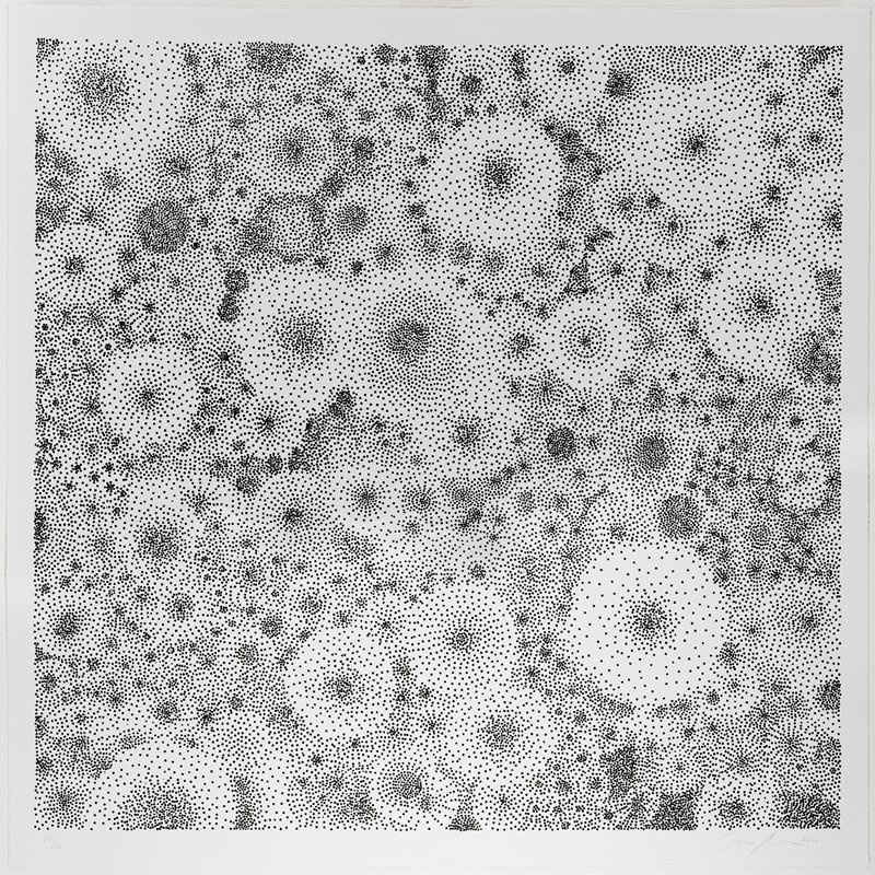 Untitled, Tara Donovan, 2010