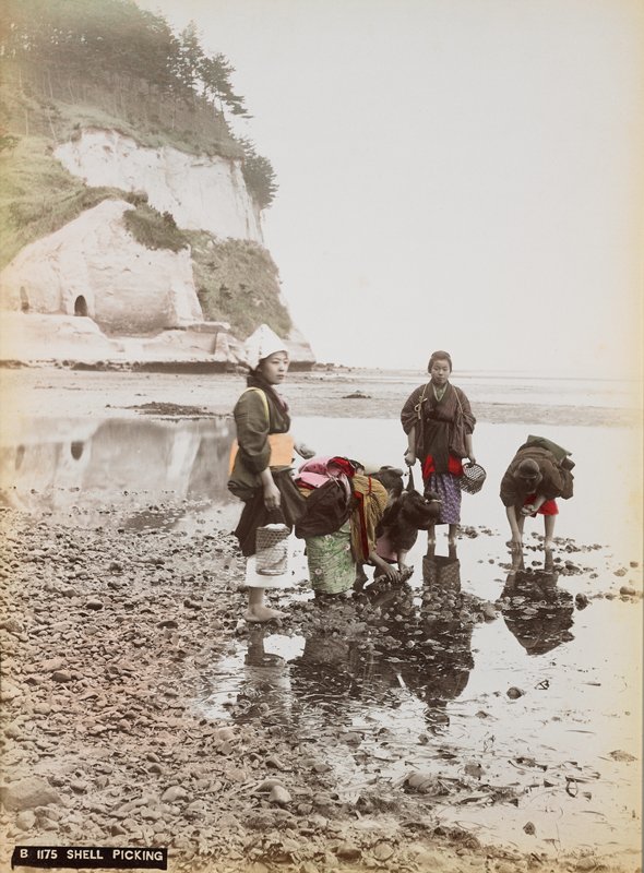 B1175. Shell Picking, Attributed to Baron Raimund von Stillfried, 1890s