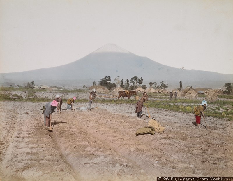 C26. Fujiyama from Yoshiwara, A. Farsari & Co., c. 1886