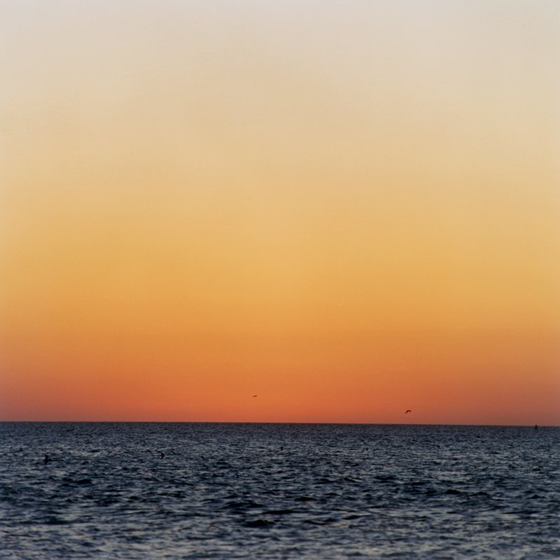 Sea Circus (sunset and birds), Jason Fulford, 2009