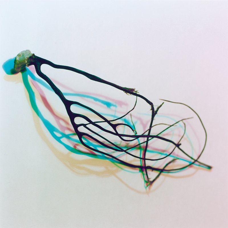 Sea Circus (RGB branch), Jason Fulford, 2009