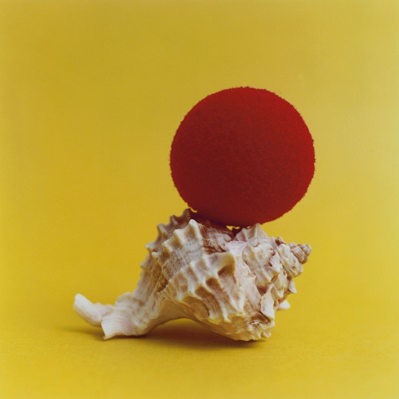Sea Circus (shell & ball), Jason Fulford, 2009
