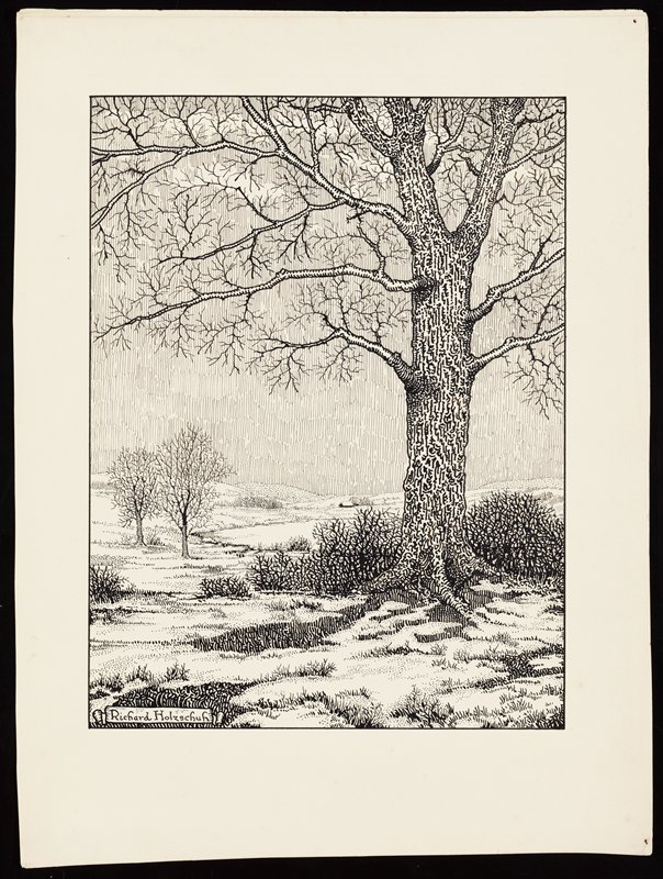 Untitled [trees in snow], Richard Holzschuh, 20th century