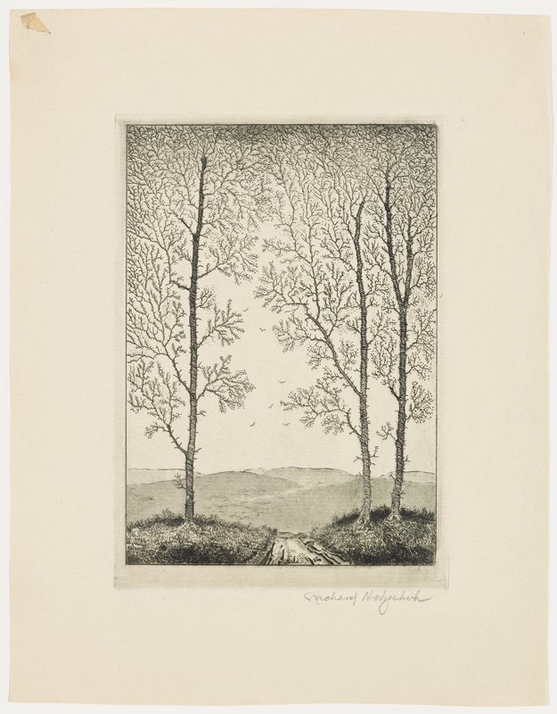 Untitled [trees and path], Richard Holzschuh, 20th century