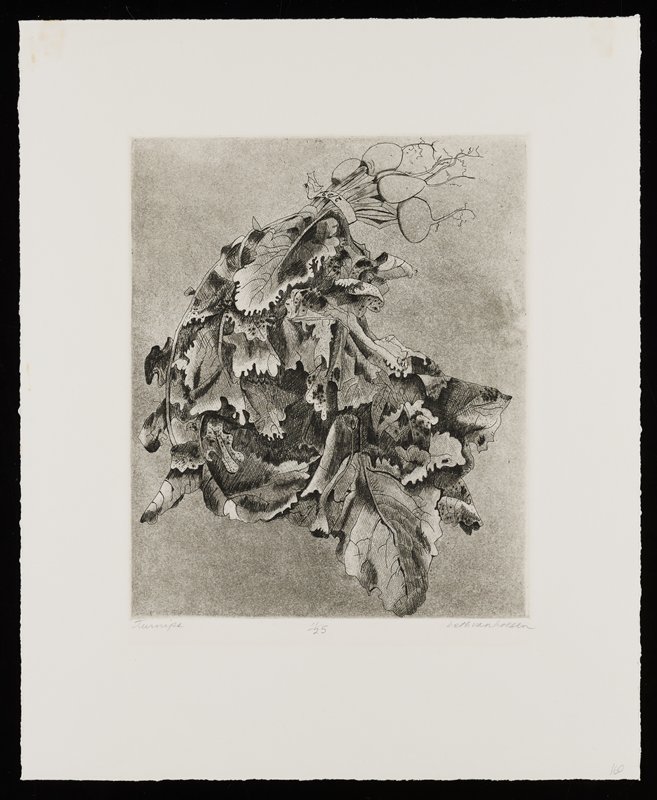Turnips, Beth Van Hoesen, 1960