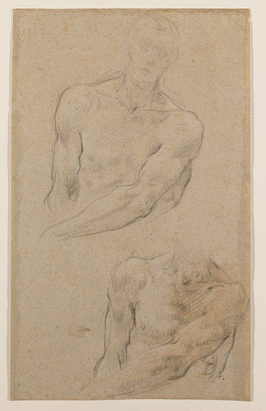 Recto: Studies of a Male Torso, Baldassare Franceschini, 17th century