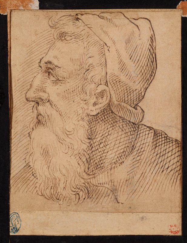 Head of a Bearded Man in Profile, Attributed to Carlo Urbino, 16th century