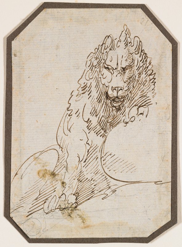 Study of a Lion, Giuseppe Bernardino Bison, 18th-19th century