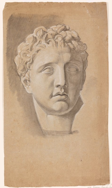 Head of Meleager (recto); Unfinished Study of the Farnese Hercules from the Back (verso), Pietro Fancelli, 18th-19th century