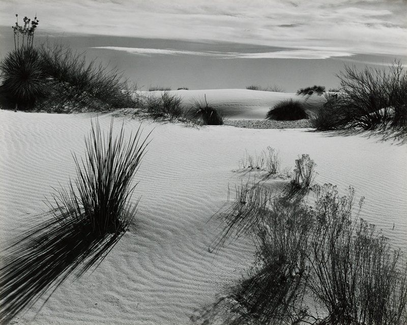 Sand Dunes, Brett Weston, 1946