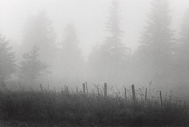Morning Fog, Dale R. Peterson, 1976