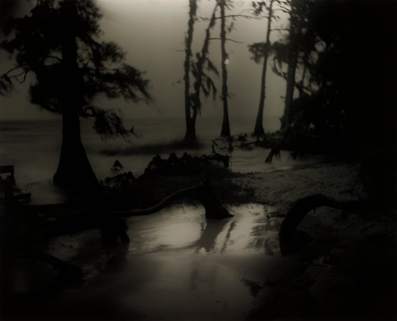 Bones II, from the Deep South series, Sally Mann, 1998 (printed 2010)