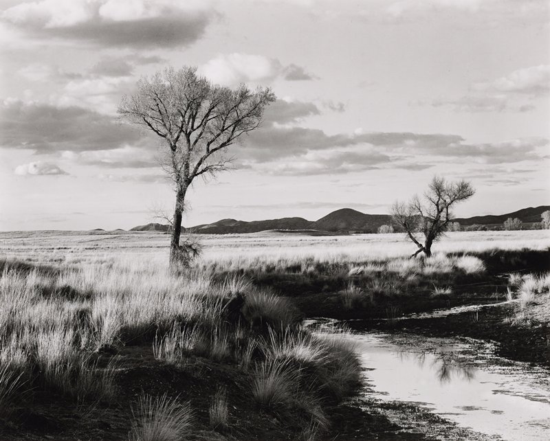 San Rafael Valley, Arizona, Paula Chamlee, 1990